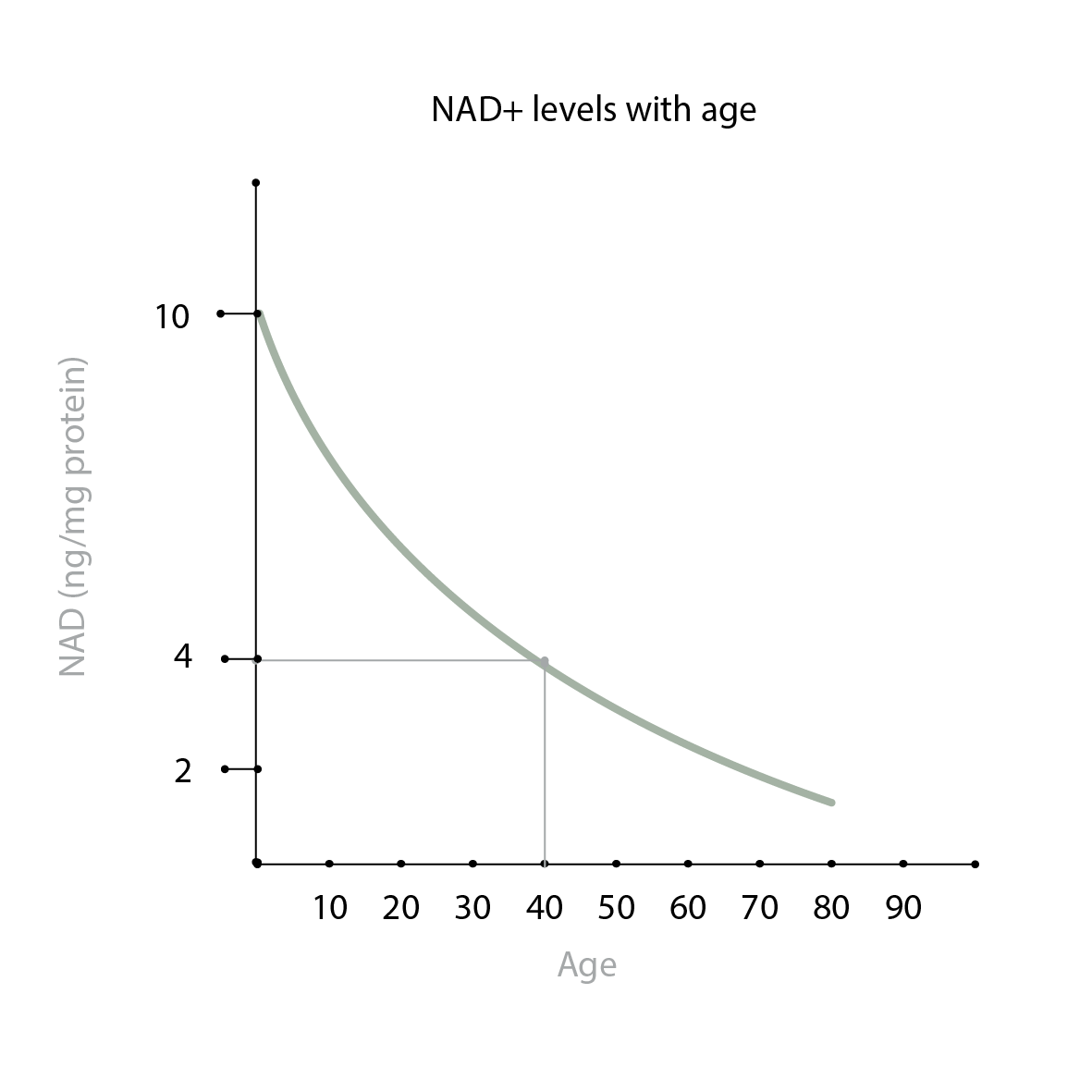 Cel2 NAD with age