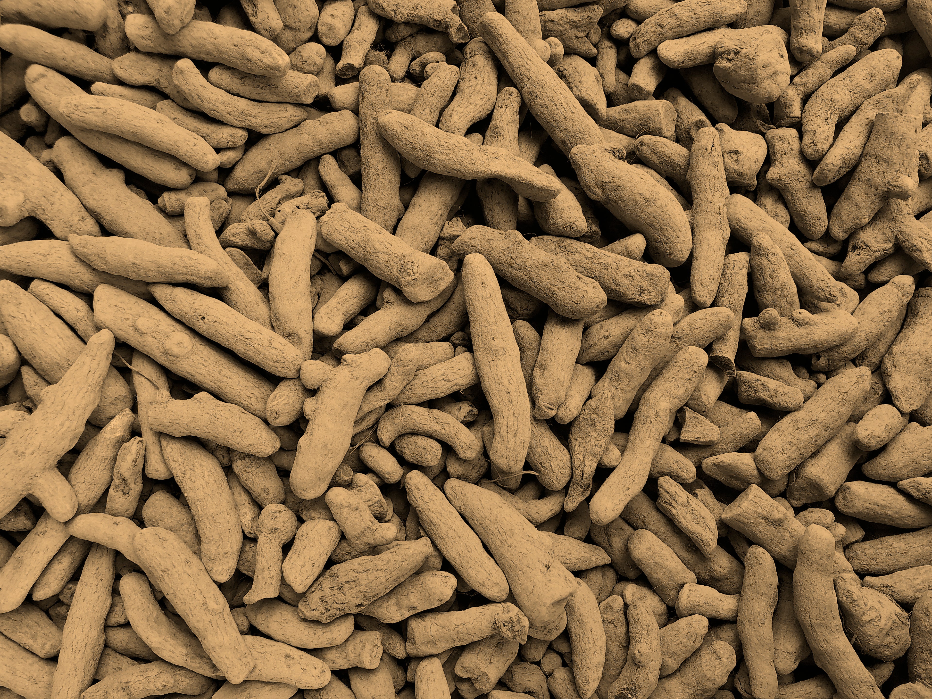 SRW Curcumin